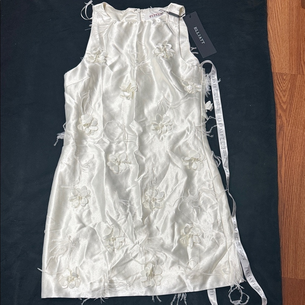 Elliatt Ivory Floral Embroidered Dress